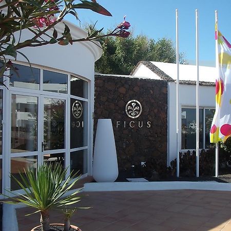 Apartamentos Ficus Costa Teguise Exteriör bild
